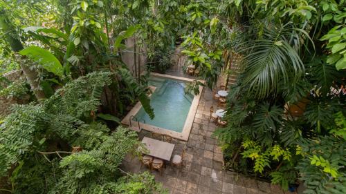 Chichen Itza - Valladolid Hotel | Hostal Poquito a Poquito
