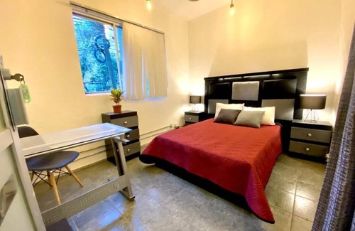 Colonia Cuauhtemoc Hotel | HOSTAL REFORMA