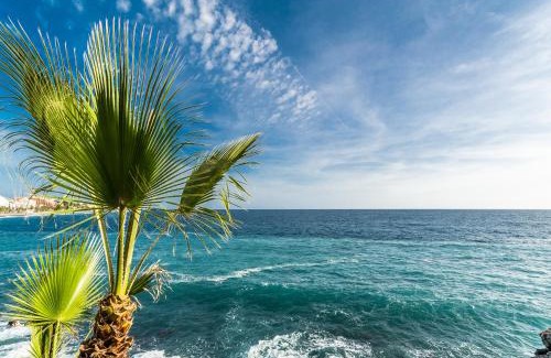 Almunecar House | Hostal Tropical