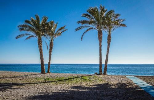 Almunecar House | Hostal Tropical