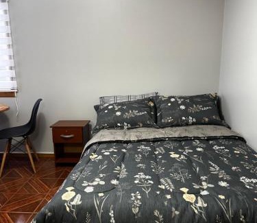 Temuco Apartment | Hostal Verde Bendito Depto 2 Temuco