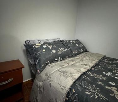 Temuco Apartment | Hostal Verde Bendito Depto 2 Temuco