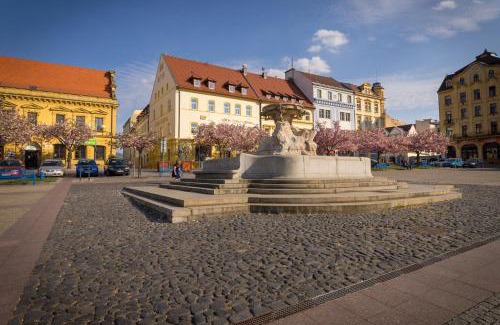 Decin Hotel | Hotel Česká Koruna