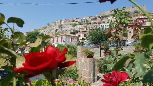 Mithimna Hotel | Hotel Adonis