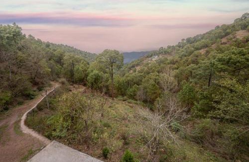 Kasauli Apartment | Hotel Adventure Kasauli Hills l 2km From Mall Road l Restaurant l Free Wifi l By Splendid Hotels