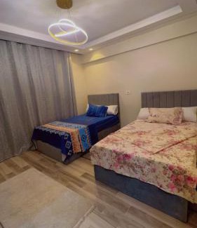 Sheikh Zayed City Apartment | Hotel apartment at sheikh zayed city
