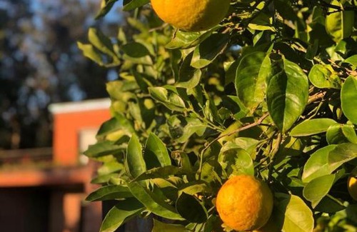 Mar del Plata Hotel | Hotel Apartur Mar del Plata