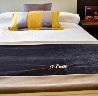 Basauri Hotel | Hotel Armiñe