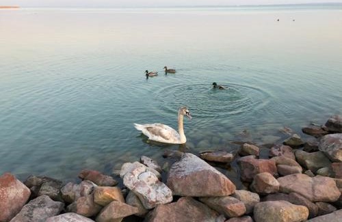Balatonfured Hotel | Hotel Astoria
