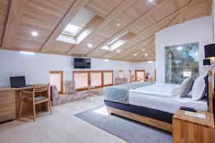 Sarajevo Hotel | Hotel Aziza