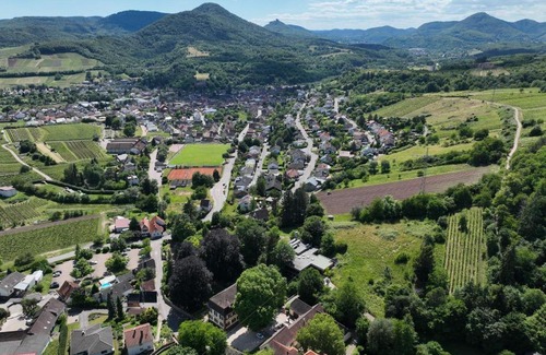 Albersweiler Hotel | Hotel Berghof