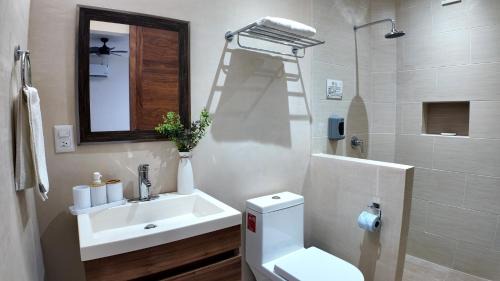 Downtown Hotel | Hotel Bosque Caribe, 5th Av. zone