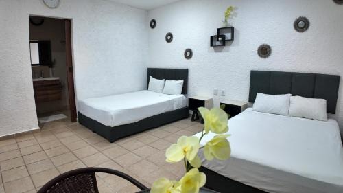 Downtown Hotel | Hotel Bosque Caribe, 5th Av. zone