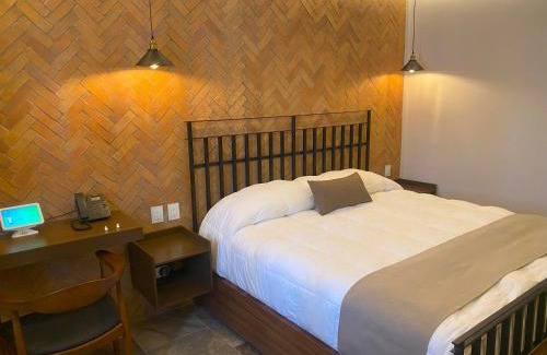 Leon Centro Hotel | Hotel Boutique Divino Sol