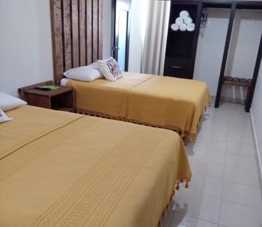Zona Centro Hotel | Hotel Cassaterra