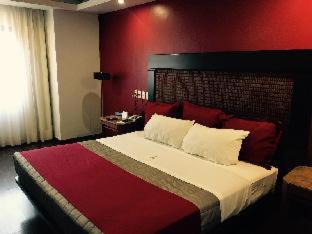 Zona Expo Hotel | Hotel Celta