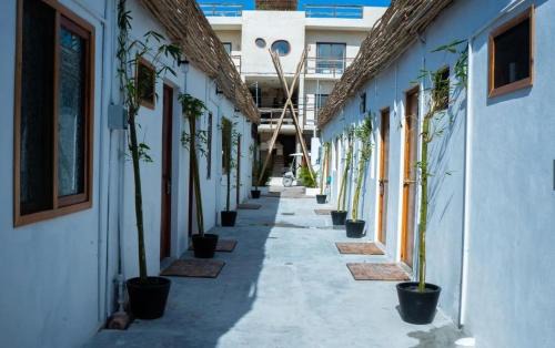 Isla Holbox Apartment | Hotel Chinkab Holbox