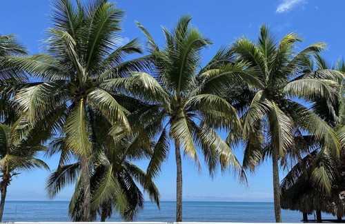 Tolu Hotel | Hotel Costa Linda