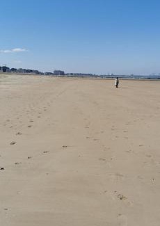 Knokke Hotel | Hotel De Backer