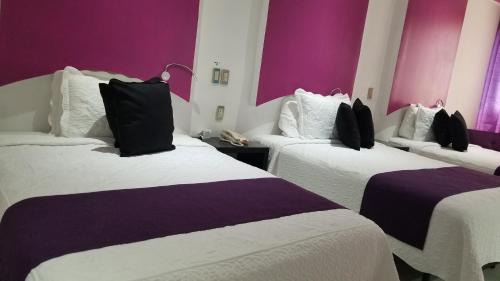 San Juan de los Lagos Hotel | Hotel Dluxe