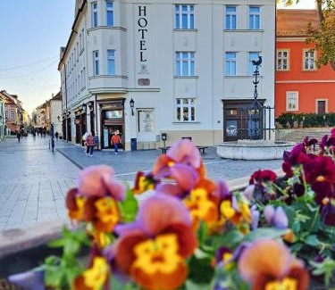 Gyor Hotel | Hotel Domus Collis