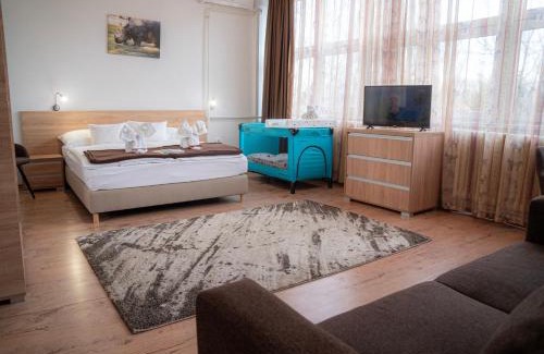 Sostogyogyfurdo Hotel | Hotel Dzsungel