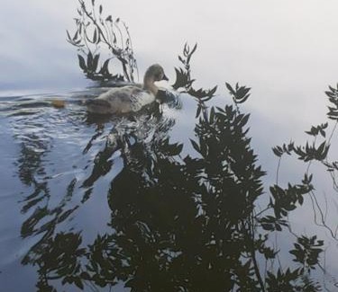 Sao Jose do Rio Pardo Hotel | Hotel e Pousada Recanto do Rio Pardo