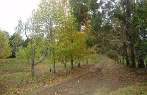 Curitibanos Hotel | Hotel empresarial HARRY WORLD