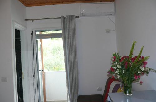Qazim Pali Apartment | Hotel Erviliano
