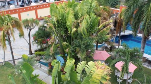 Oaxtepec Hotel | Hotel Fiesta Palmar