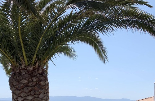Ouranoupoli Hotel | Hotel Filoxenia