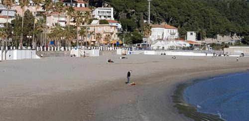 Marina di Andora Hotel | Hotel Garden