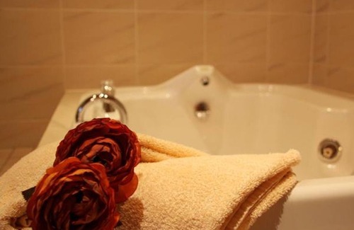 Gemund House | Hotel Haus Salzberg - Double Room Shower/WC