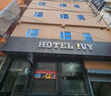 Lajpat Nagar Hotel | Hotel IVY