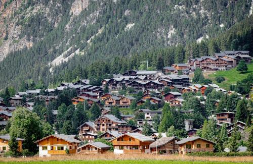Pralognan-la-Vanoise Hotel | Hotel L'Edelweiss