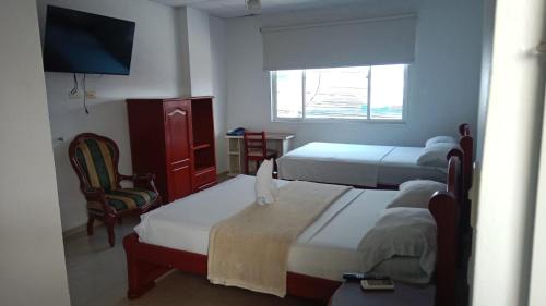 Acacias House | Hotel la mansión de acacias