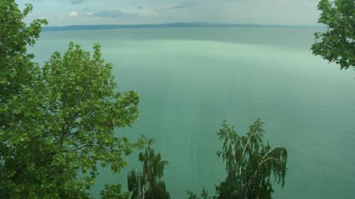 Siofok Aranypart Hotel | Hotel Lido