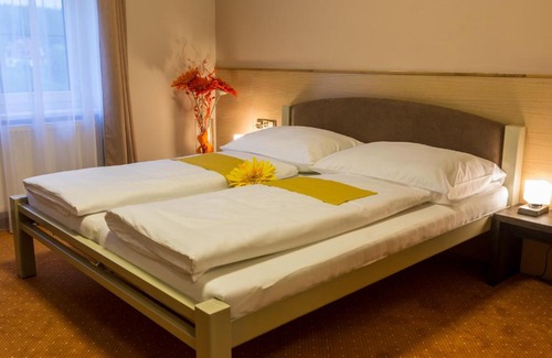 Plana nad Luznici Hotel | Hotel Lužnice