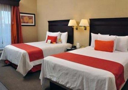 Juarez Municipality Hotel | Hotel Mesaluna Near American Consulate