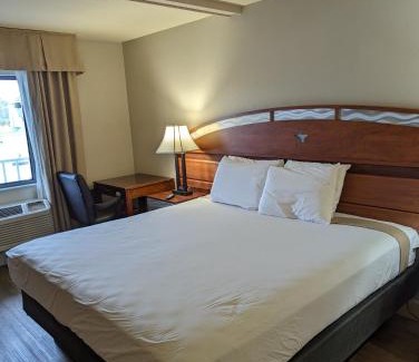 Kissimmee Hotel | Hotel Monte Carlo
