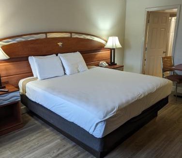 Kissimmee Hotel | Hotel Monte Carlo