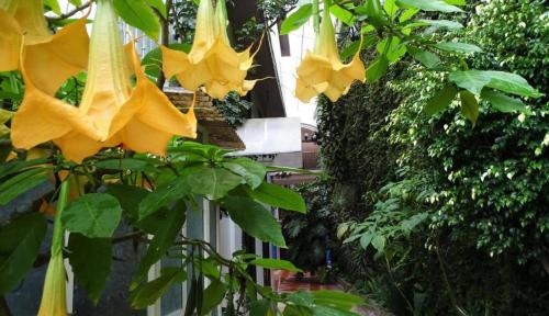 San Cristobal de las Casas Hotel | Hotel Jardines del Carmen