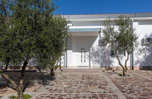 Shkoder County Apartment | Hotel Paradise