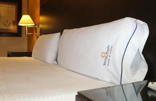 Hermosillo Hotel | Hotel Plaza las Quintas