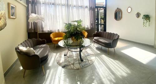 Praia a Mare Hotel | Hotel Praja Mare