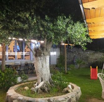 Ishem Hotel | Hotel Restorant Olti