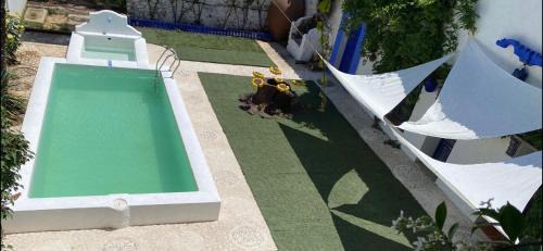 Brazatortas Hotel | Hotel Rural las Cinco Ranas