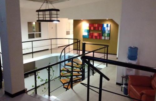 Chihuahua Hotel | Hotel Santa Cruz