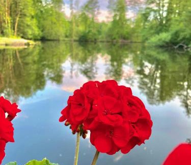 Bocholt Hotel | Hotel Schloss Diepenbrock