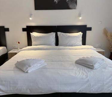 Skopje Region Hotel | Hotel Sharlota